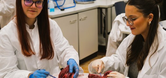 Mitmachen, Staunen, Zukunft gestalten – MINT-Entdeckertage 2026 Bild zu Mitmachen, Staunen, Zukunft gestalten – MINT-Entdeckertage 2026